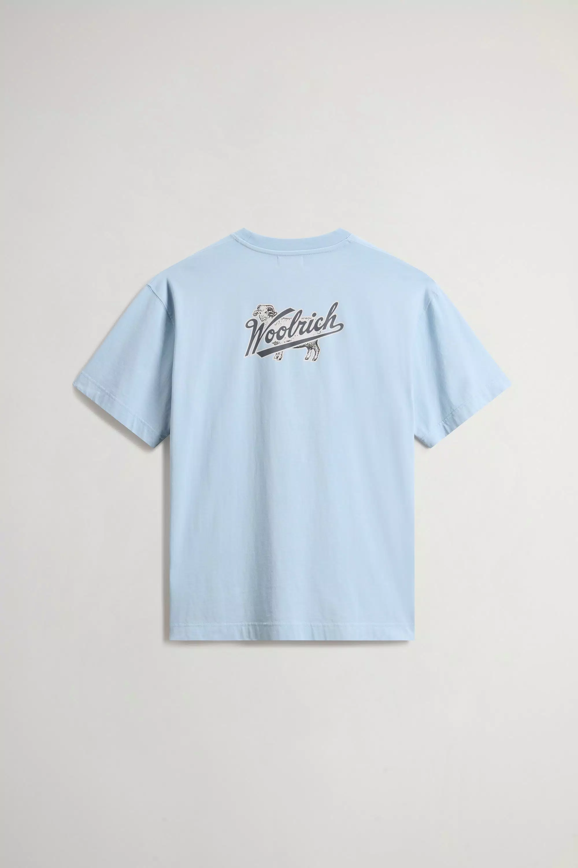 T-Shirt in Cotone Puro con Logo - Flask